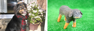 ベルナー ベルナー