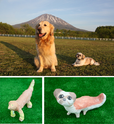 シロ、ポノ シロ、ポノ