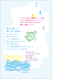 かめのなみだ映画DVD かめのなみだ映画DVD