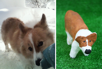 こたろう こたろう