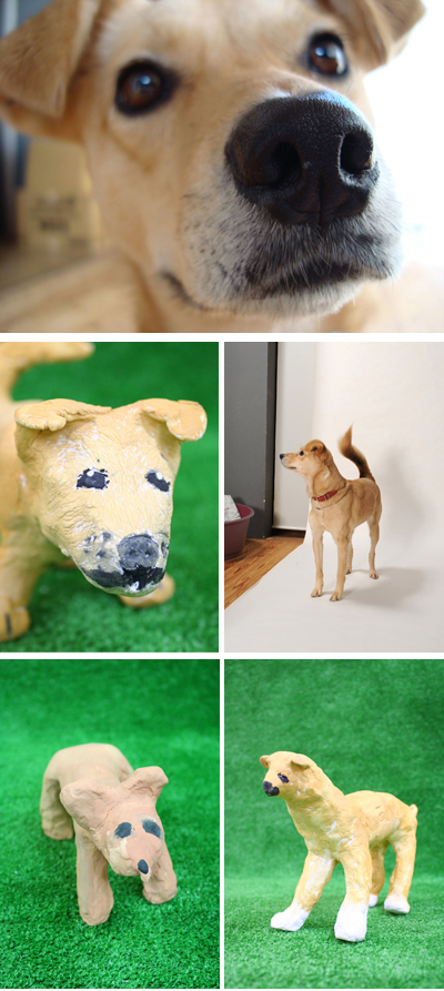 ラッキー ラッキー